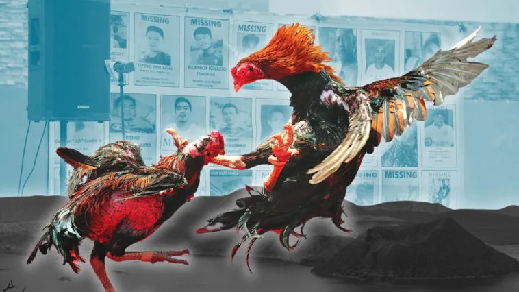 Bật Mí Cách Chơi Đá Gà Sabong Win55 Từ Cao Thủ Bất Bại 2 Bật Mí Cách Chơi Đá Gà Sabong Win55 Từ Cao Thủ Bất Bại