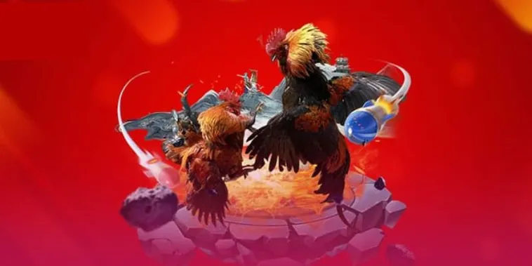 Đá Gà Win55 1 Trải Nghiệm Đá Gà Win55 Trực Tiếp Mỗi Ngày