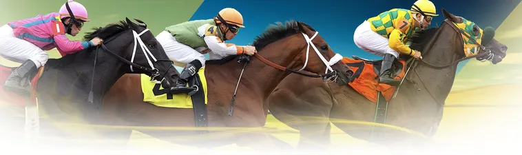 Thống Lĩnh Đường Đua Với Cá Cược Đua Ngựa Win55 Rinh Thưởng Lớn 1 Thống Lĩnh Đường Đua Với Cá Cược Đua Ngựa Win55 Rinh Thưởng Lớn